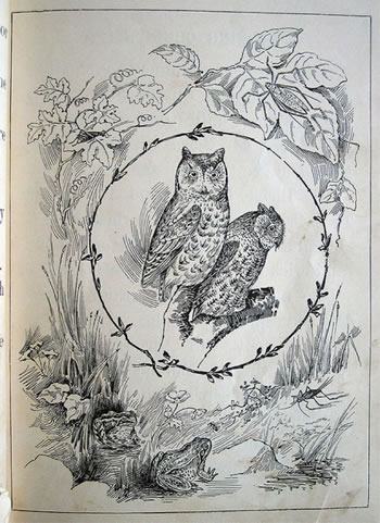 owl art