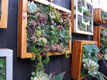 Vertical Garden