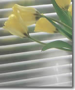 aluminum blinds