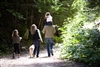 Walks, solar screen shades can help with mood and self-esteem