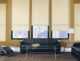 Fabric Light Filter Roller Shades