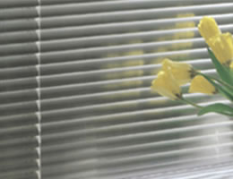 Jewel 1" Aluminum Mini Blinds