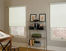 Fabric Light Filter Roller Shades