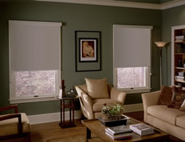 Room Darkening Fabric Roller Shades