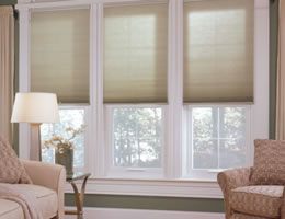Ultimate Cordless 3/4" Single Cell Shades