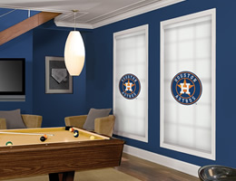 Houston Astros Roller Shades