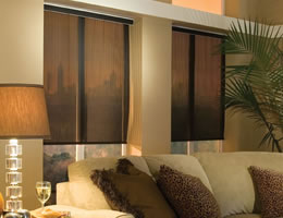 EcoGreen Roller Shades