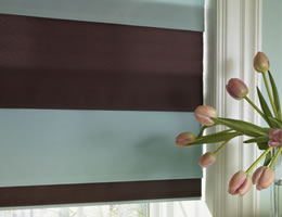 Solid Print Roman Shades