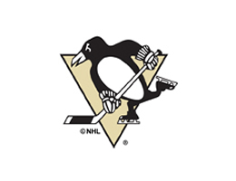 Pittsburgh Penguins® Roller Shades