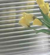 Aluminum Mini Blinds