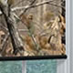 Hunting Window Blinds On Sale