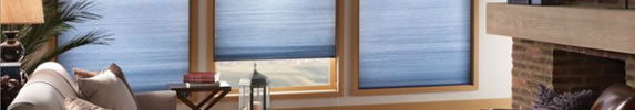 Window Blinds by Room
