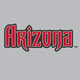 Jersey Logo - Sedona Red on Grey