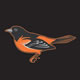 Alternate Logo - Oriole Bird on Black