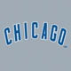 Jersey Logo - Blue/White on Grey
