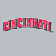 Jersey Logo - Red/Black on Grey