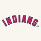 Blue - Jersey Logo - Red/Blue on White