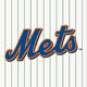 Jersey Logo - Blue/Orange on White Pinstripes