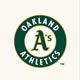 White - Main Logo - Green/Yellow on Off White