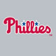 Jersey Logo - Red/White on Grey