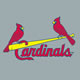 Jersey Logo on Grey