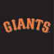 Jersey Logo - Orange on Black