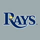 Jersey Logo on Grey