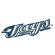 White - Jersey Logo on White