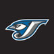 Alternate Logo on Black