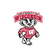 Wisconsin Badgers Logo on White