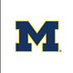 Michgan Logo on White