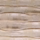 Davinci Tusk