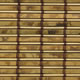 Petite Bamboo