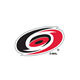 Carolina Hurricanes Logo