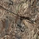 Oak - Mossy Oak Duck Blind