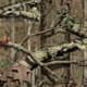 Oak - Mossy Oak Break-Up Infinity