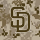 Alternate Logo on Camo