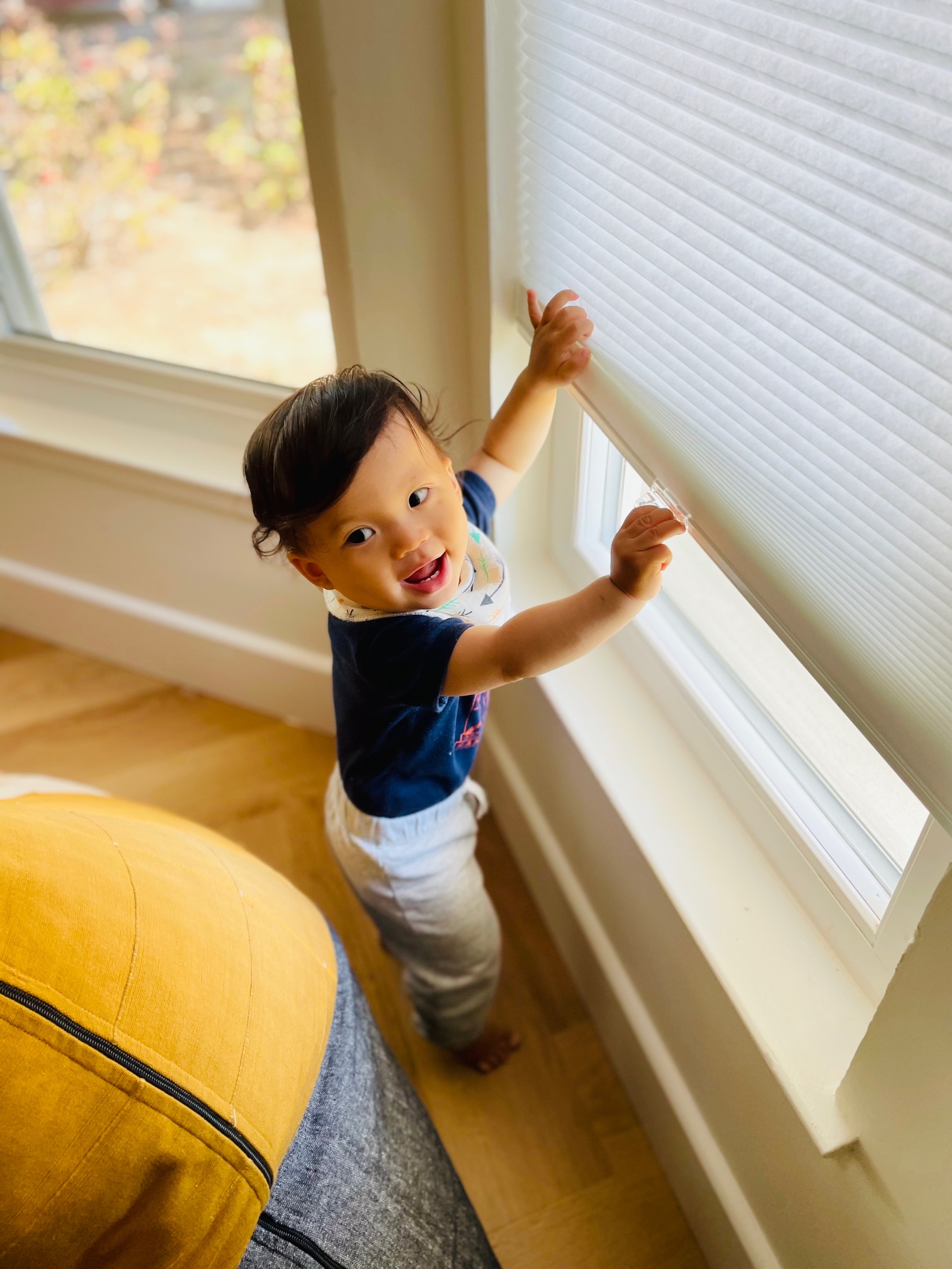 Best Window Coverings For Summer 2022 Keep the Heat Out Blinds