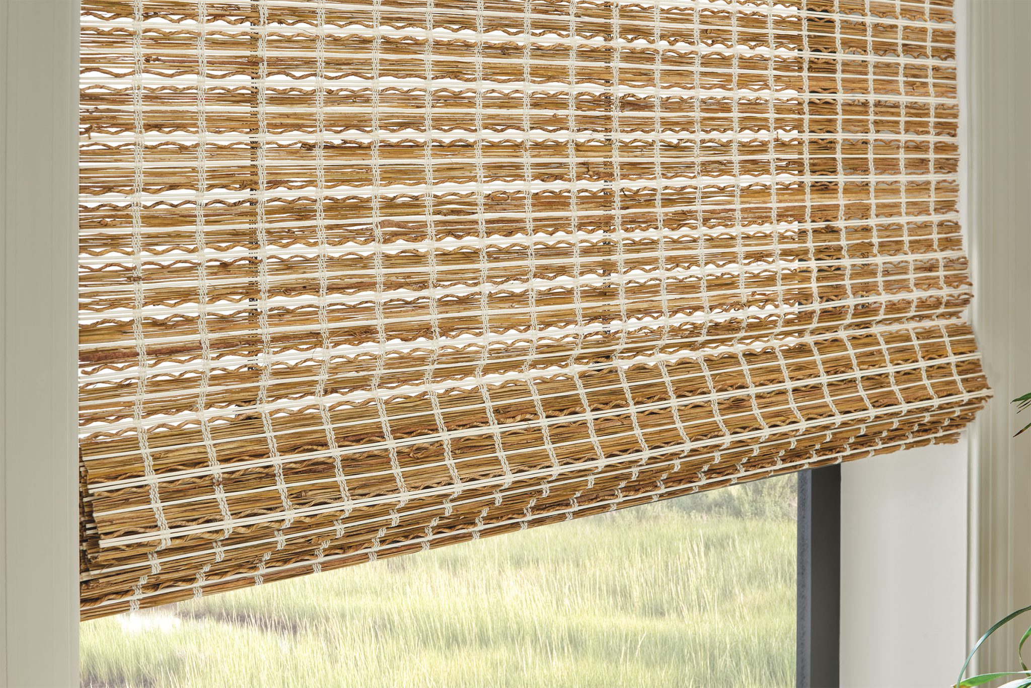 Curated visual reference: Gallery Detail: Eco Friendly And Stylish The Best Sustainable Window Treatments