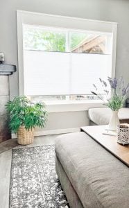 Bali Diamondcell Light Filtering Cell Shades in ¾ Single Cell White Sugar_july 2023_Credit lyndseydickerson 