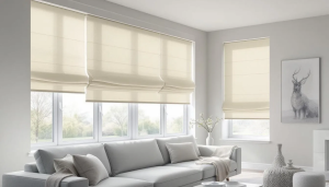 Plain fold roman shades enhancing a modern and minimalist space.