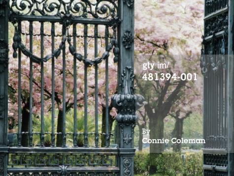 Security Gates