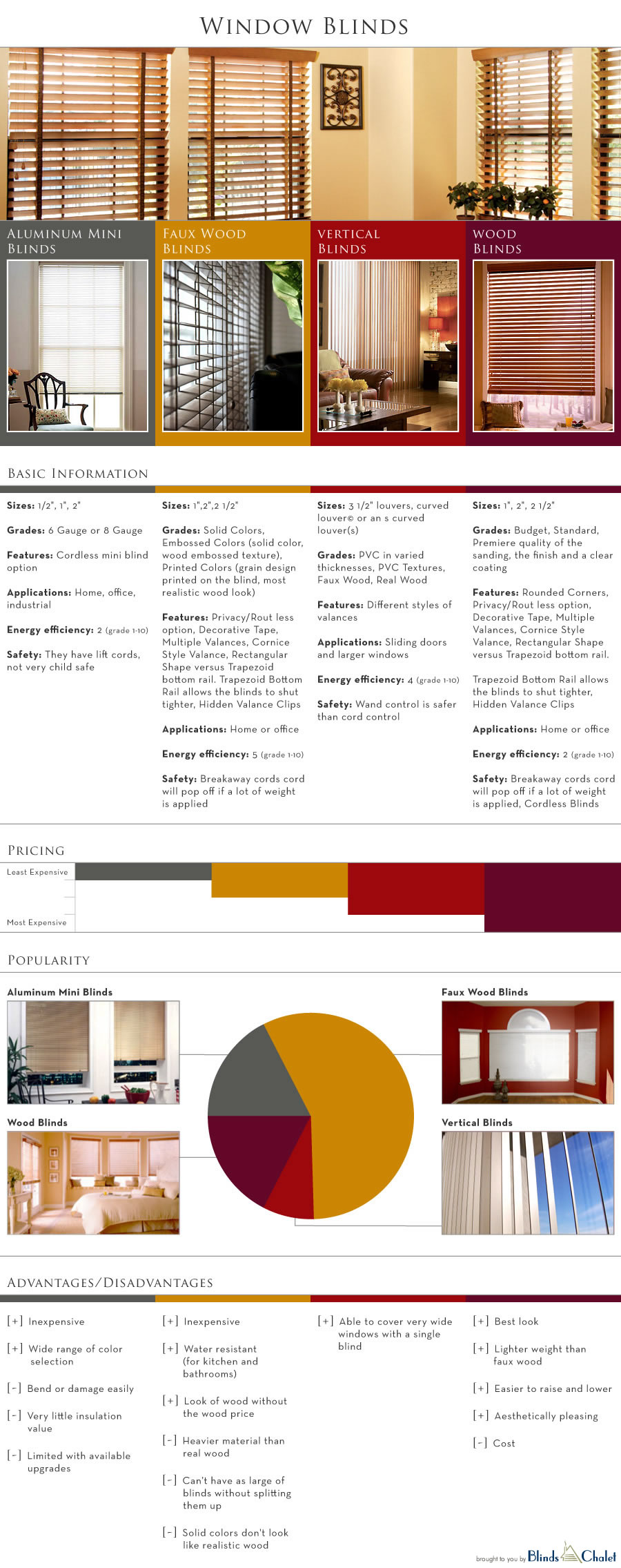 Window Blinds Infographic by Blinds Chalet