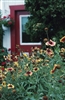 Get your space ready for summer with wood blinds