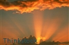 Brighten homes with solar screen shades