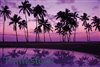 Island living with soft sheer shades