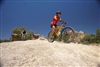 Roller shades can aid in desert living