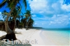 Going green with solar appliances and bamboo shades