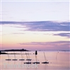 Mimic coastal living with light colors, soft sheer shades