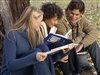 Noise reduction shades can help with new college neighbors